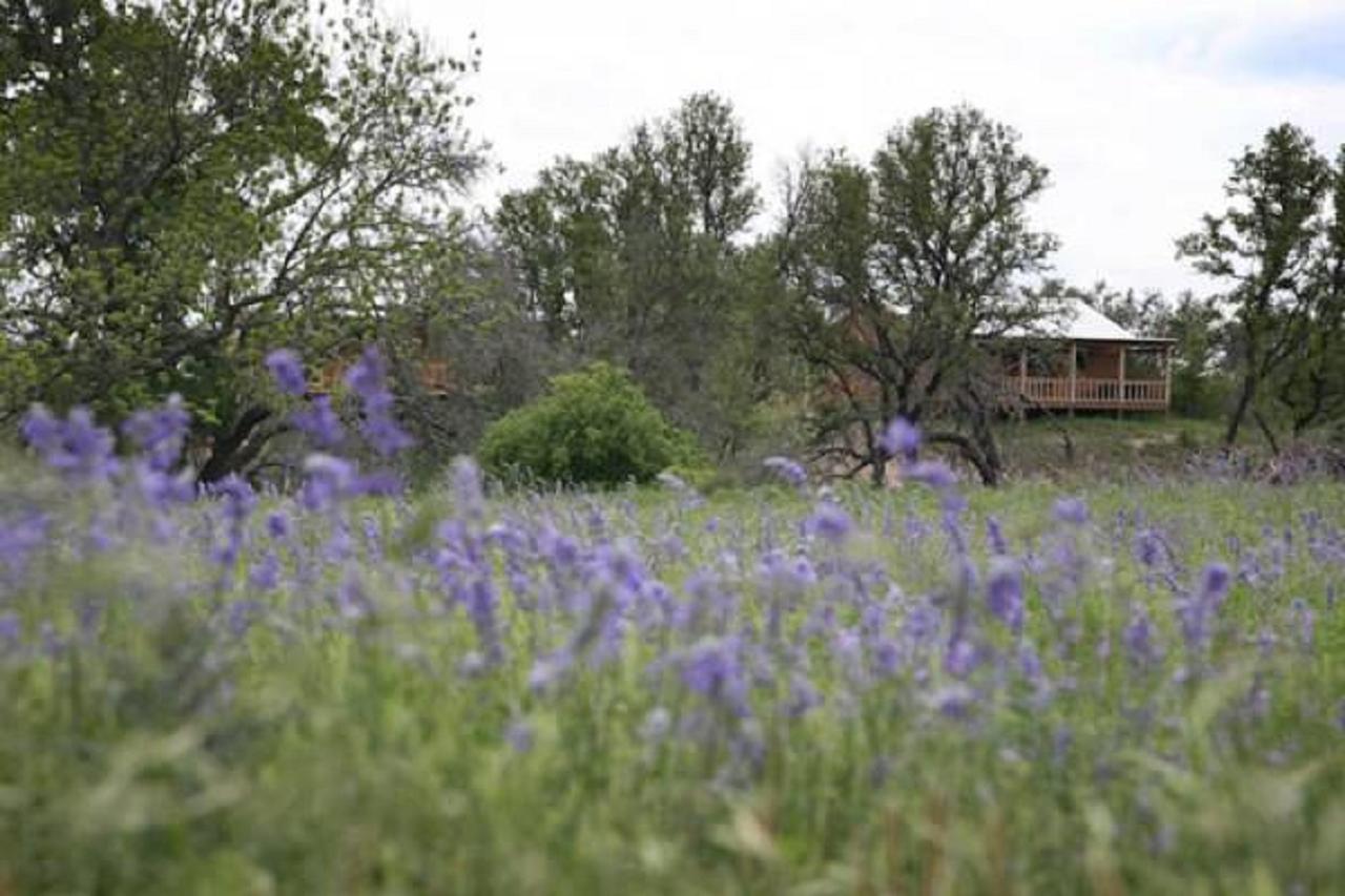City On A Hill At Spring Creek Fredericksburg Eksteriør billede