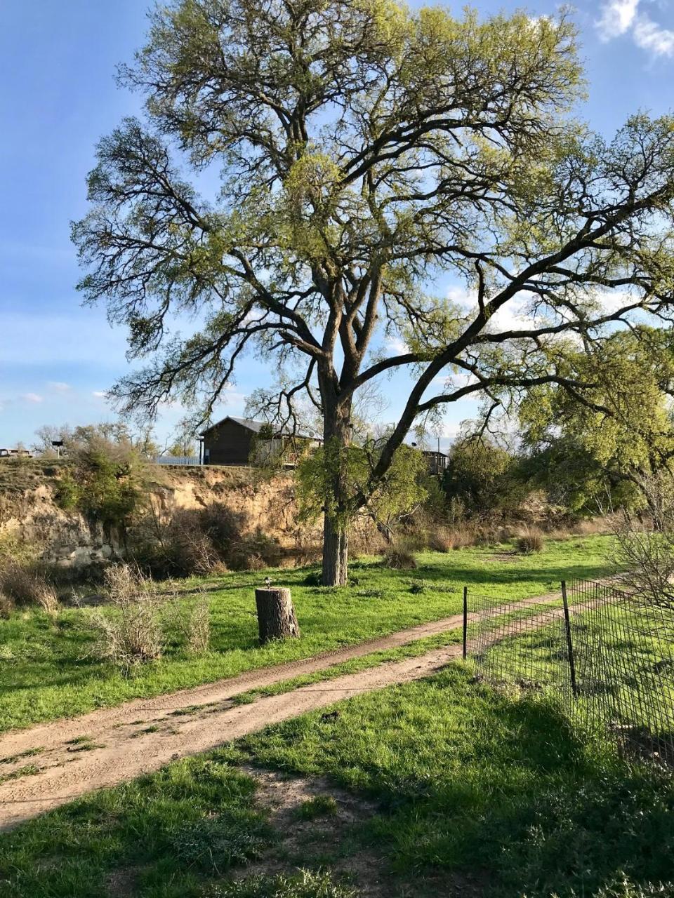 City On A Hill At Spring Creek Fredericksburg Eksteriør billede